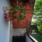 فندق مبيت وإفطار Art House Szymaszkowa 1 3*