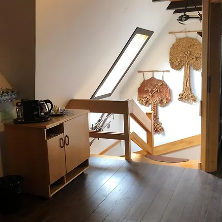 فندق مبيت وإفطار Art House Szymaszkowa 1 زاكوباني